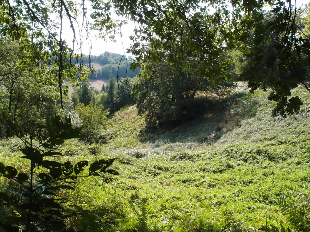 permaculture et développement personnel tarn
